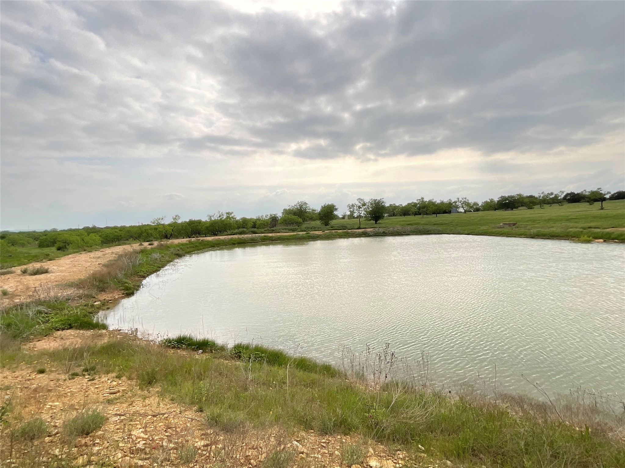 1009 Goodnight Trail Perrin TX 76486