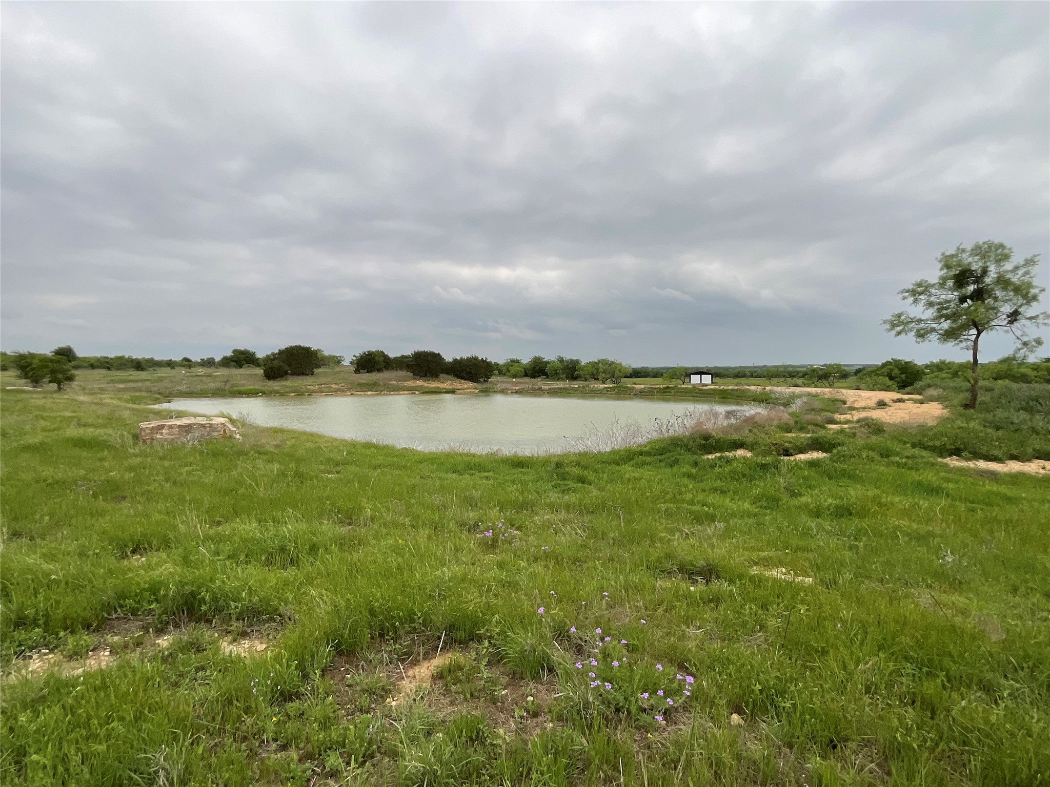 1009 Goodnight Trail Perrin TX 76486