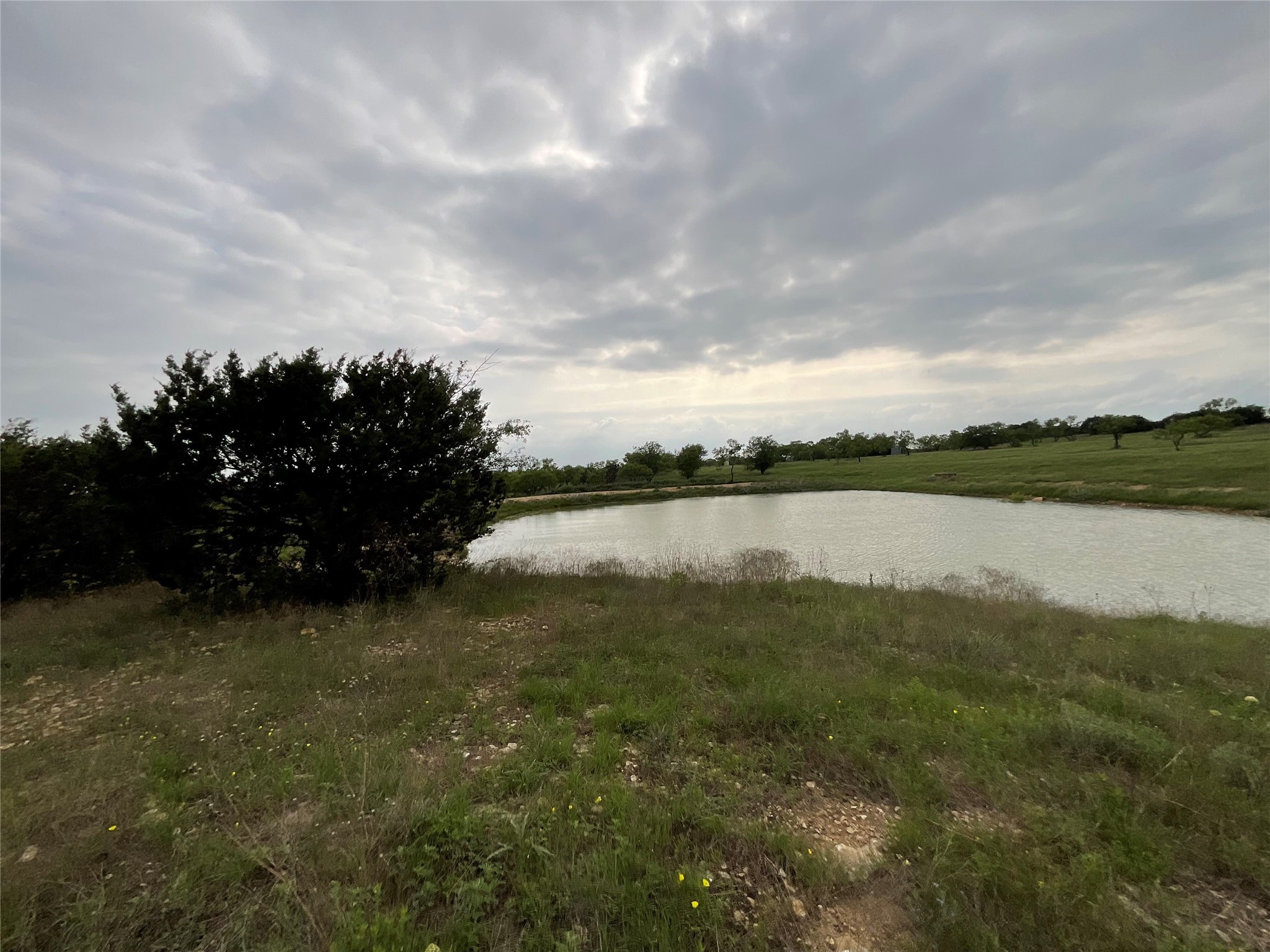 1009 Goodnight Trail Perrin TX 76486