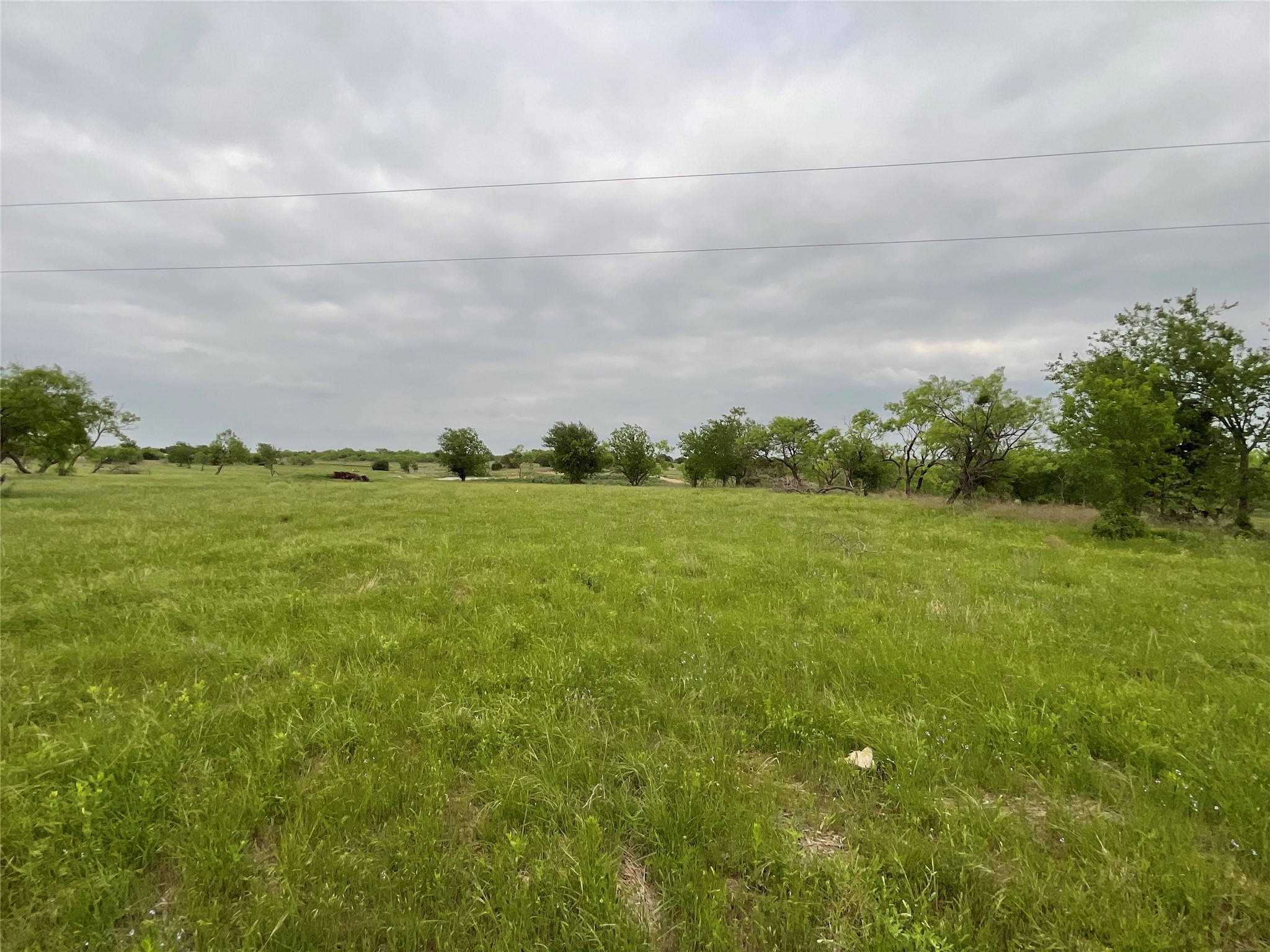 1009 Goodnight Trail Perrin TX 76486