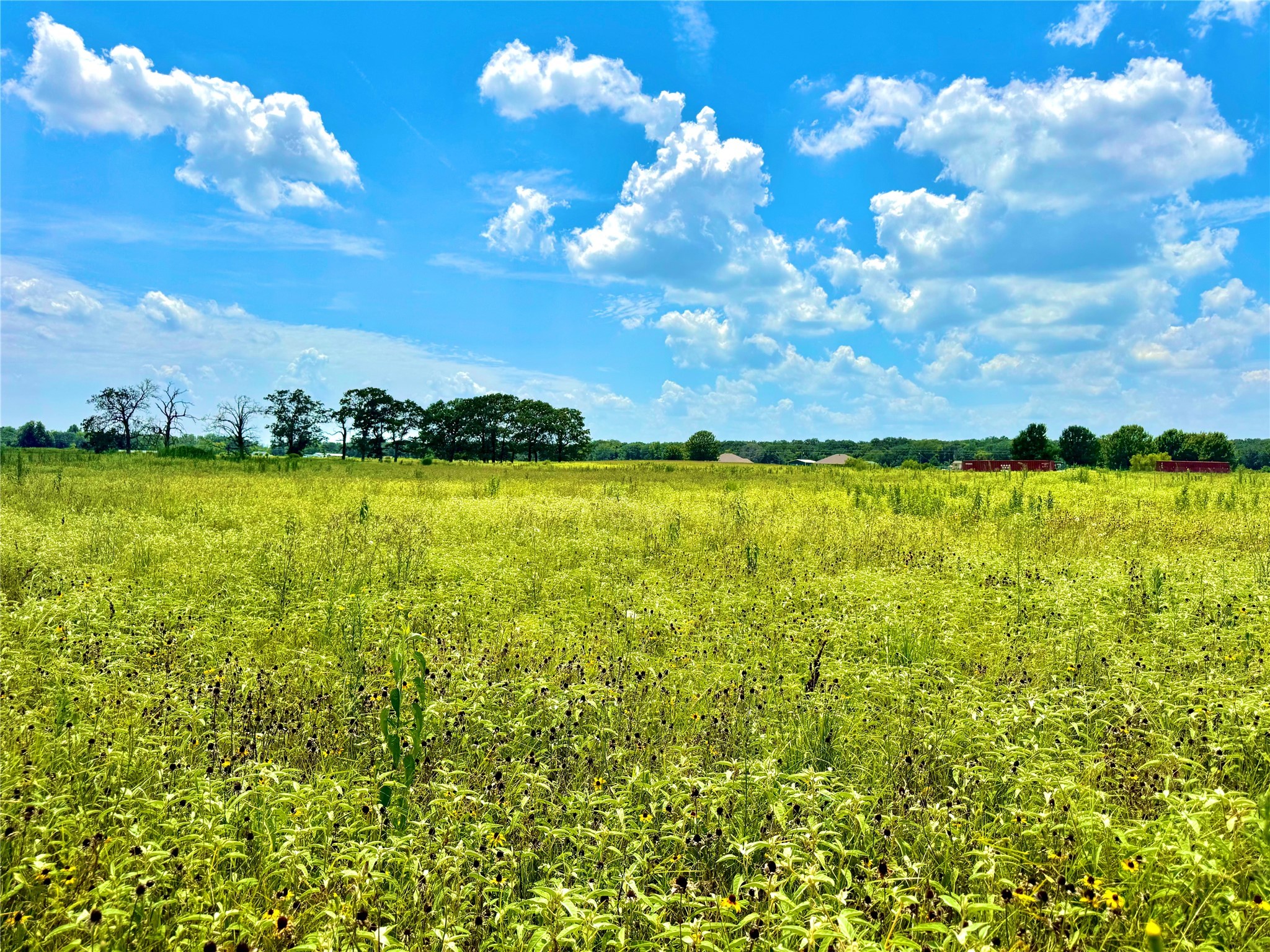 Tbd Tract 24 County Road 3644 Pickton TX 75471