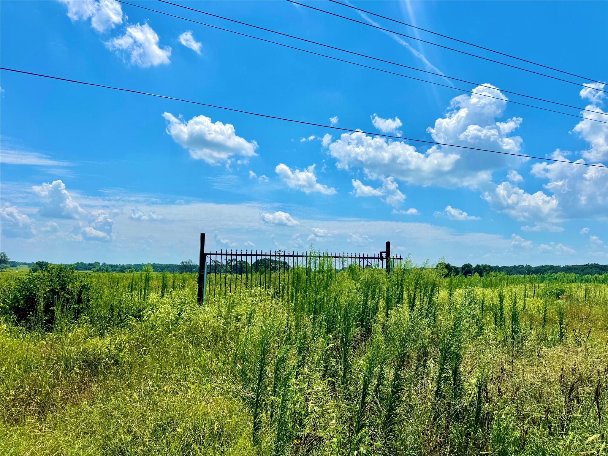 Tbd Tract 24 County Road 3644 Pickton TX 75471