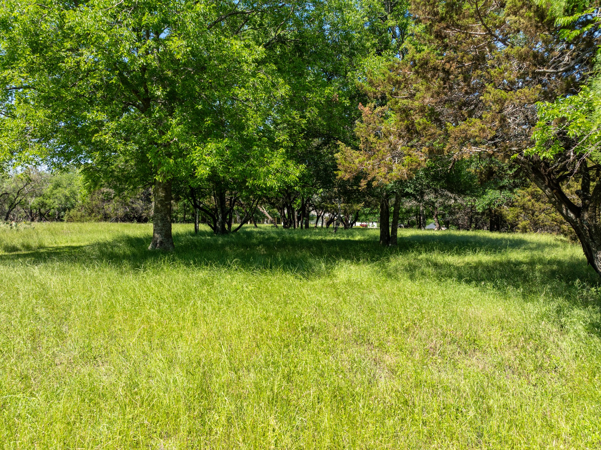 17145 Woodlawn Drive Whitney TX 76692