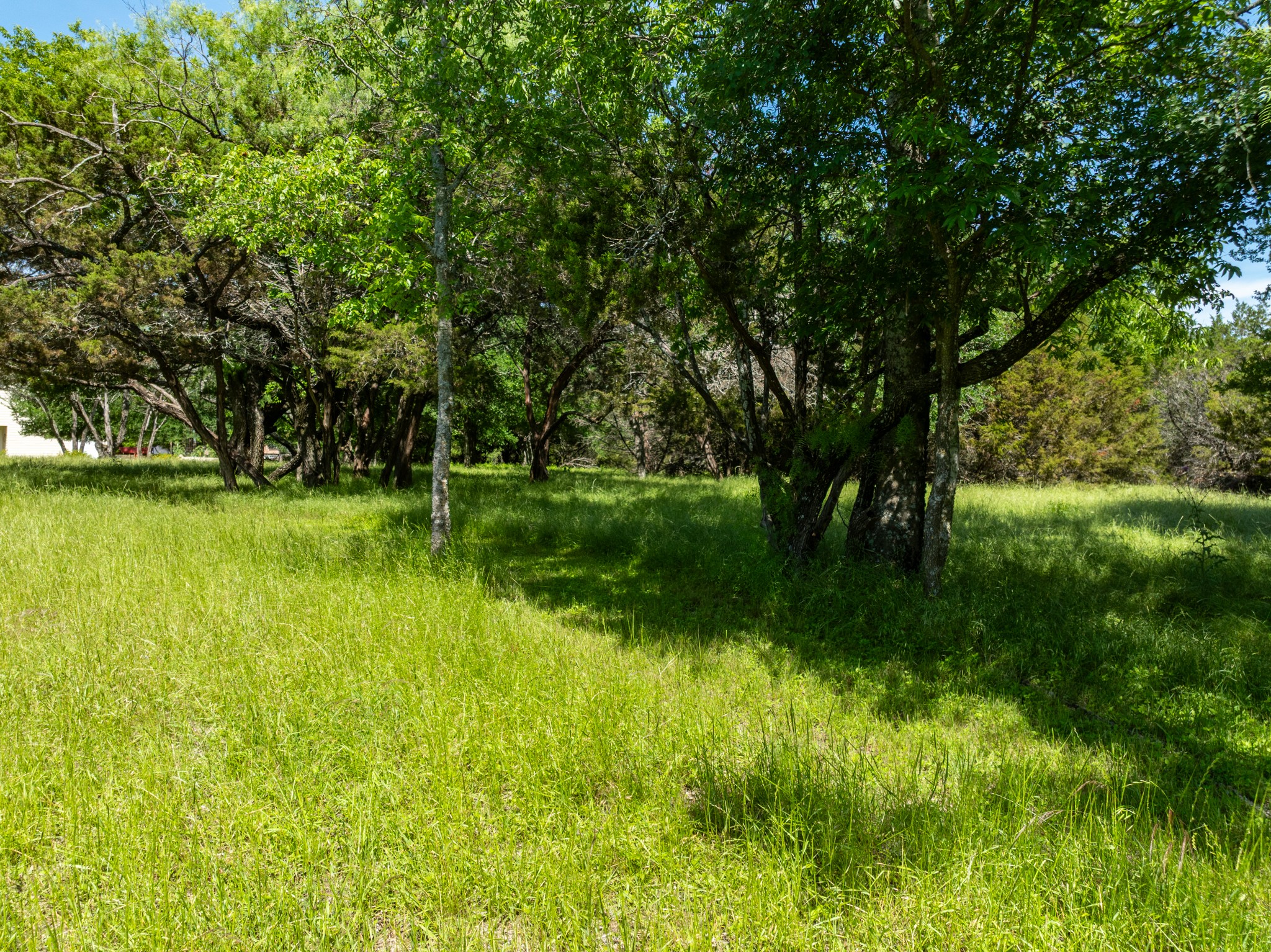 17145 Woodlawn Drive Whitney TX 76692