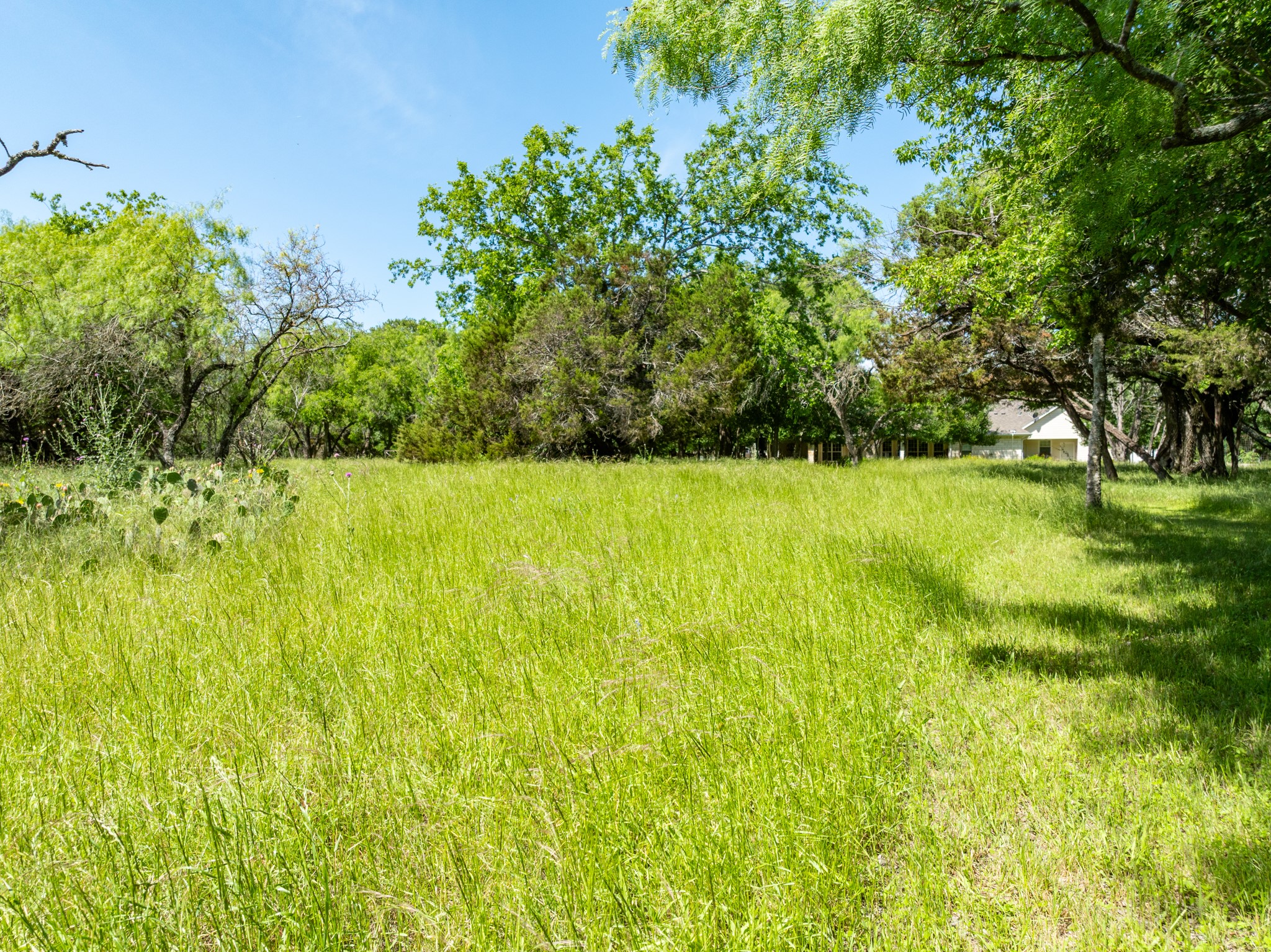 17145 Woodlawn Drive Whitney TX 76692