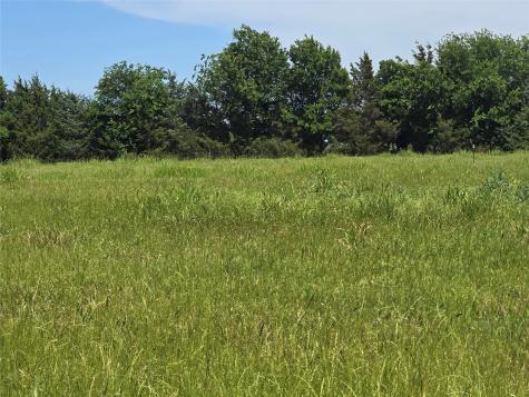 TBD County Road 1039 Blue Ridge TX 75424