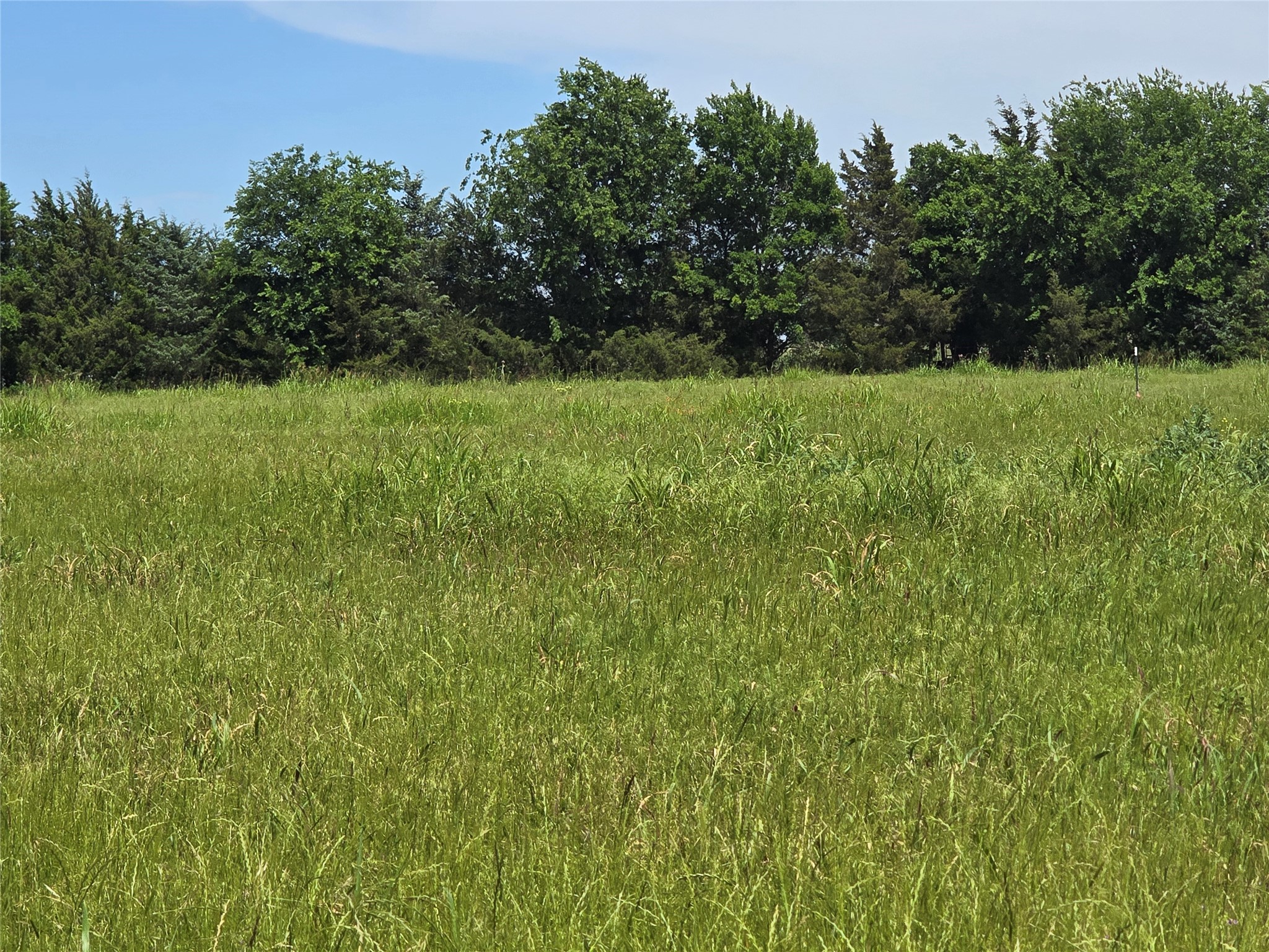 Tbd County Road 1039 Blue Ridge TX 75424