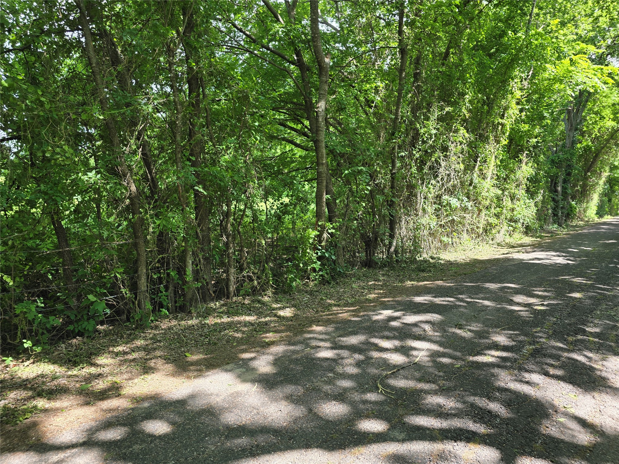 Tbd County Road 1039 Blue Ridge TX 75424