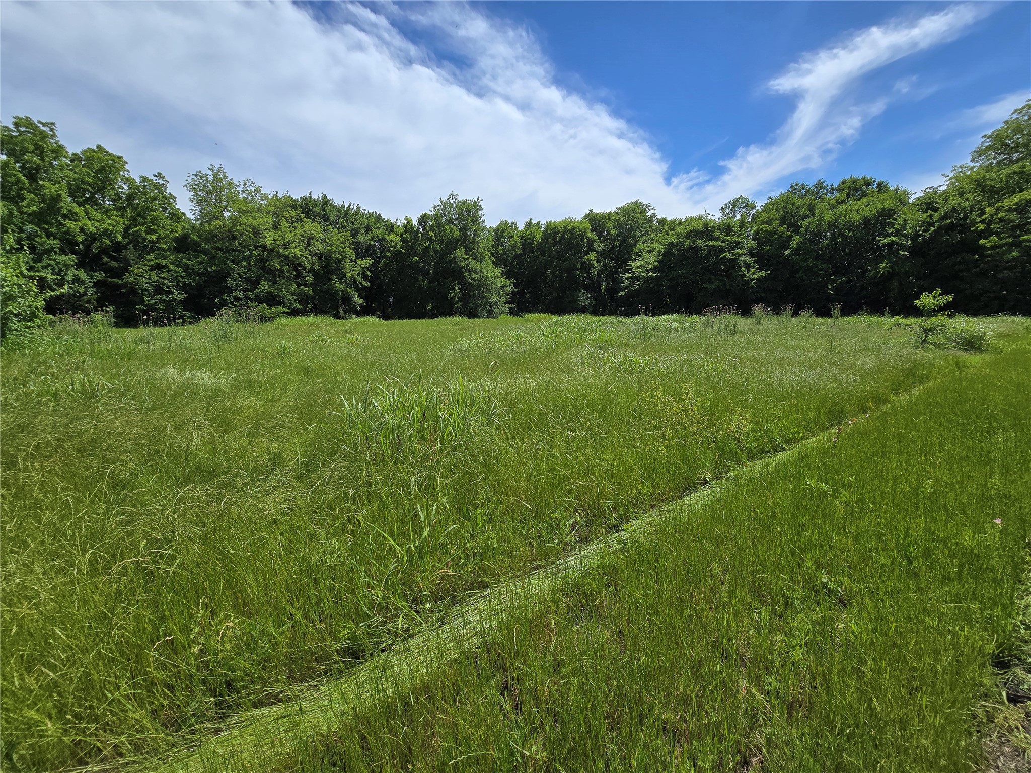 Tbd County Road 1039 Blue Ridge TX 75424