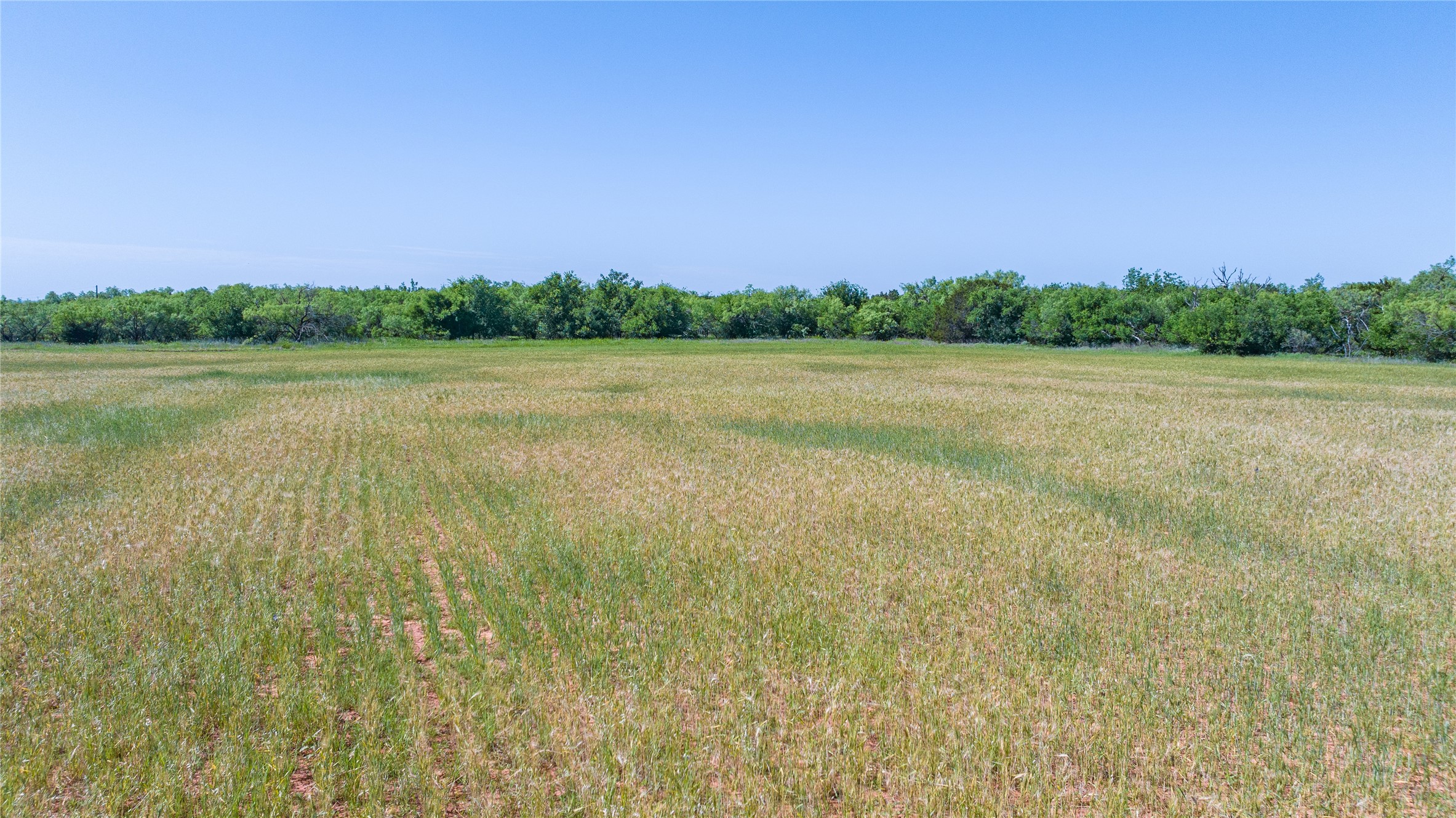 204 Cr 180 Ovalo TX 79541