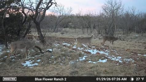 204 Cr 180 Ovalo TX 79541