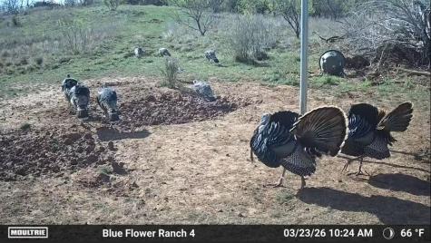 204 Cr 180 Ovalo TX 79541
