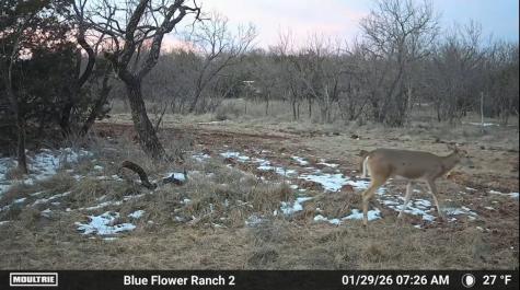 204 Cr 180 Ovalo TX 79541