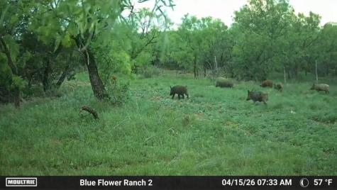 204 Cr 180 Ovalo TX 79541