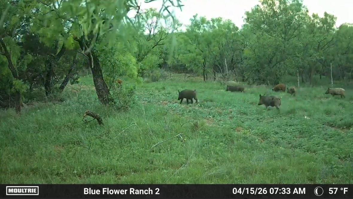 204 Cr 180 Ovalo TX 79541