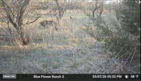 204 Cr 180 Ovalo TX 79541