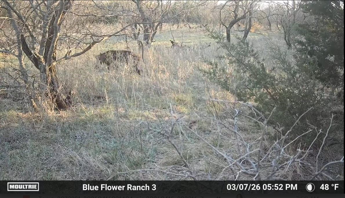 204 Cr 180 Ovalo TX 79541