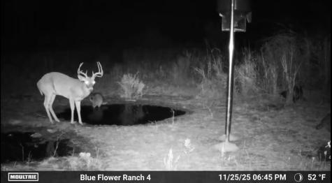 204 Cr 180 Ovalo TX 79541