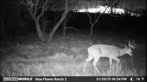 204 Cr 180 Ovalo TX 79541