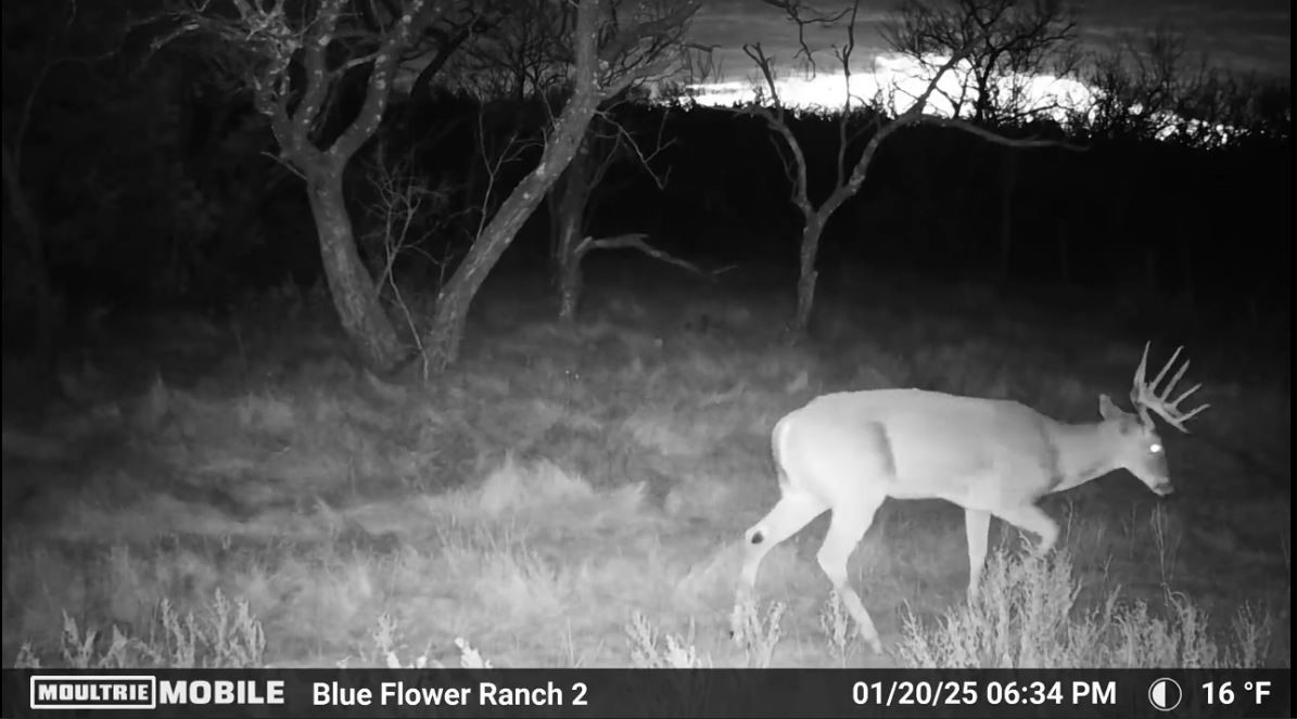 204 Cr 180 Ovalo TX 79541