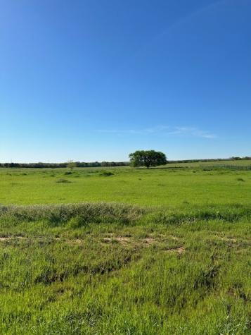1028 Monarch Court Poolville TX 76487