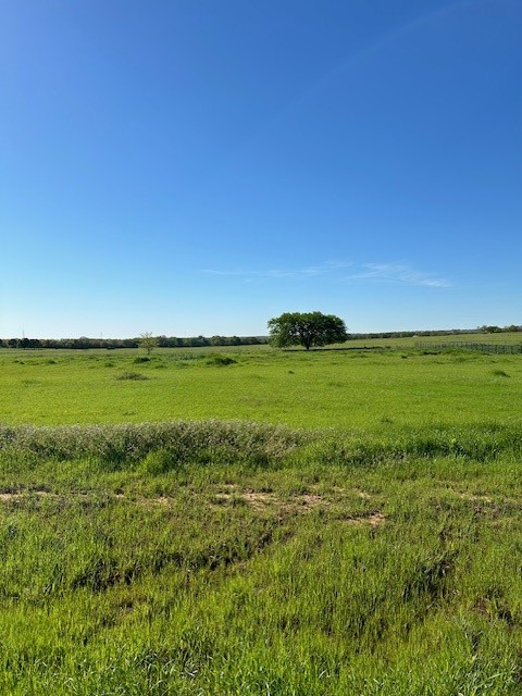 1028 Monarch Court Poolville TX 76487