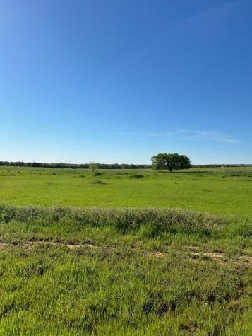 1028 Monarch Court Poolville TX 76487