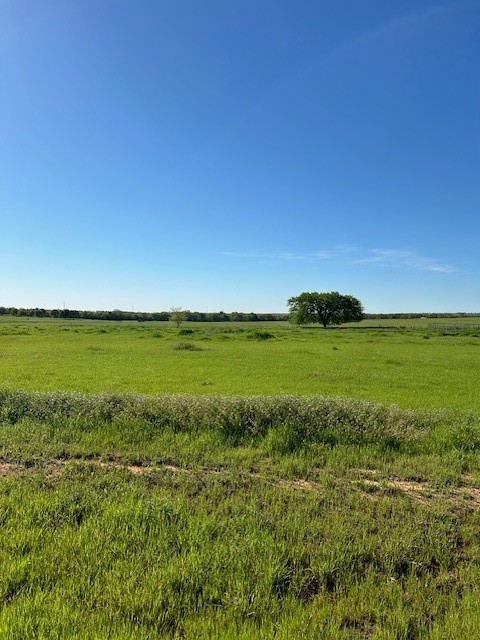 1028 Monarch Court Poolville TX 76487