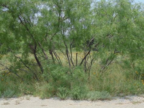 Tbd Oak Hollow Drive May TX 76857