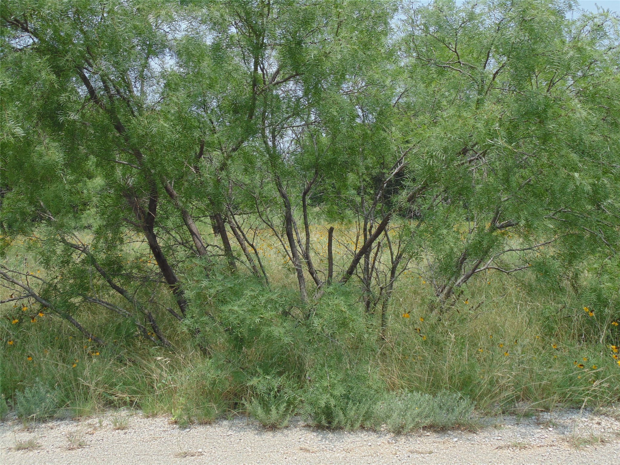 Tbd Oak Hollow Drive May TX 76857