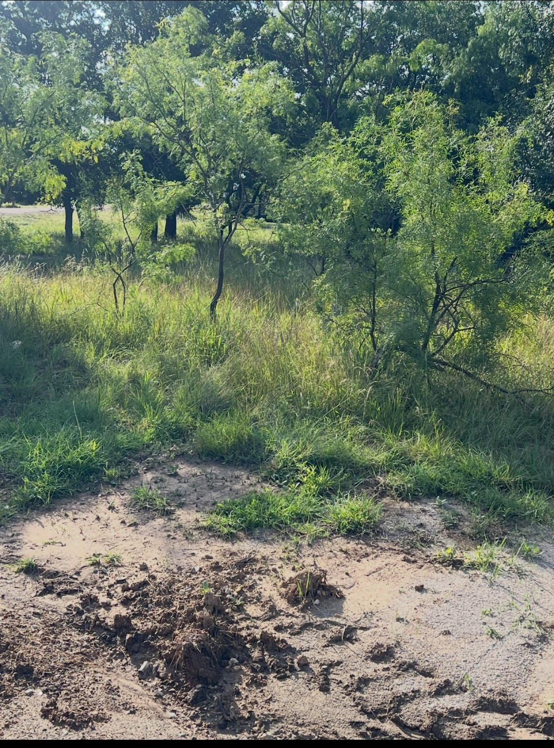 Lot 652 S Lakeside Drive May TX 76857