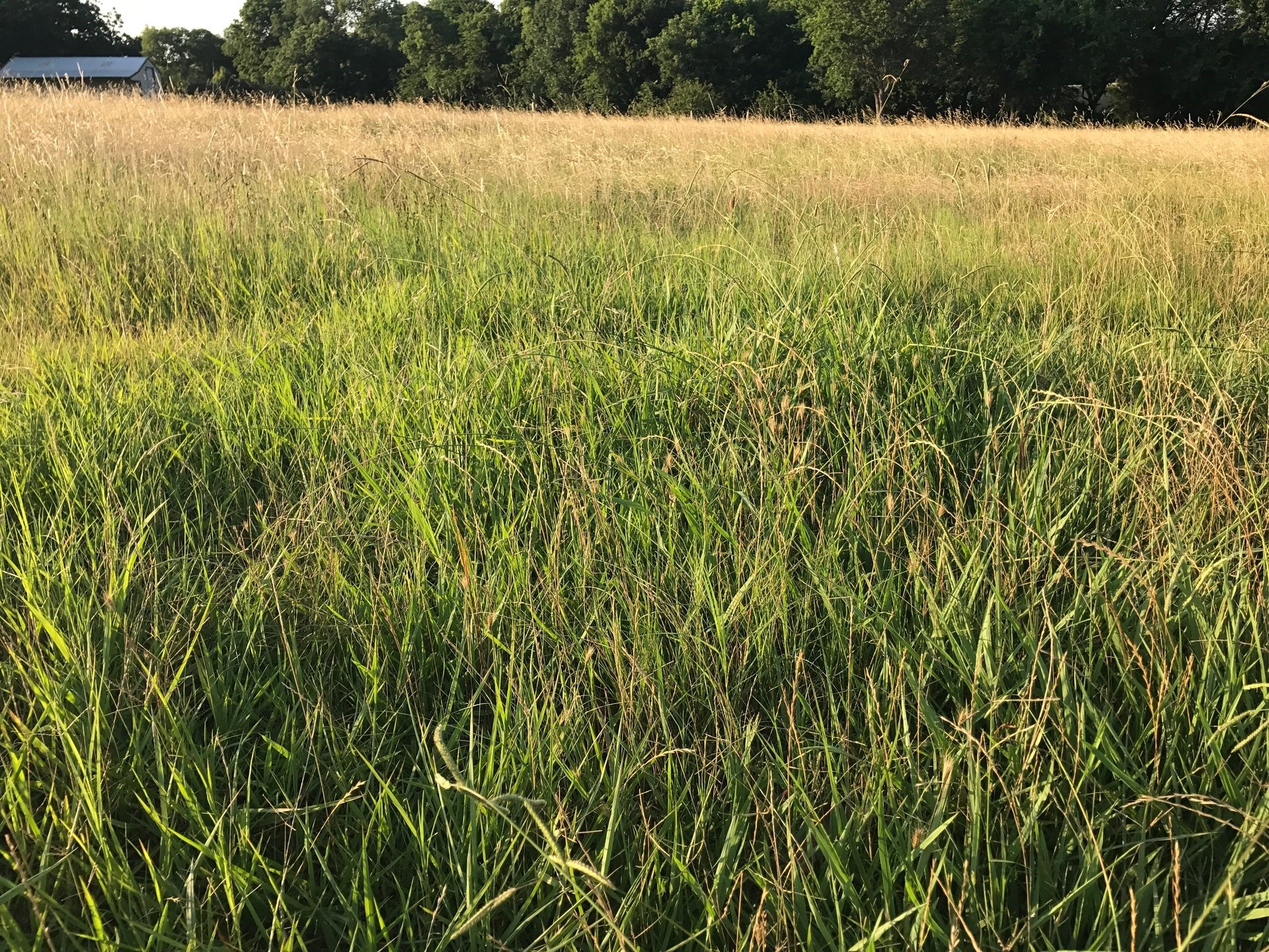 0003 County Road 496 Princeton TX 75407