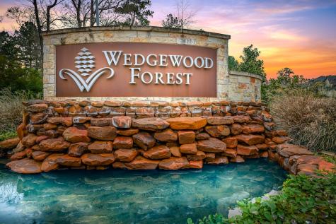 808 Dogberry Lane Conroe TX 77304