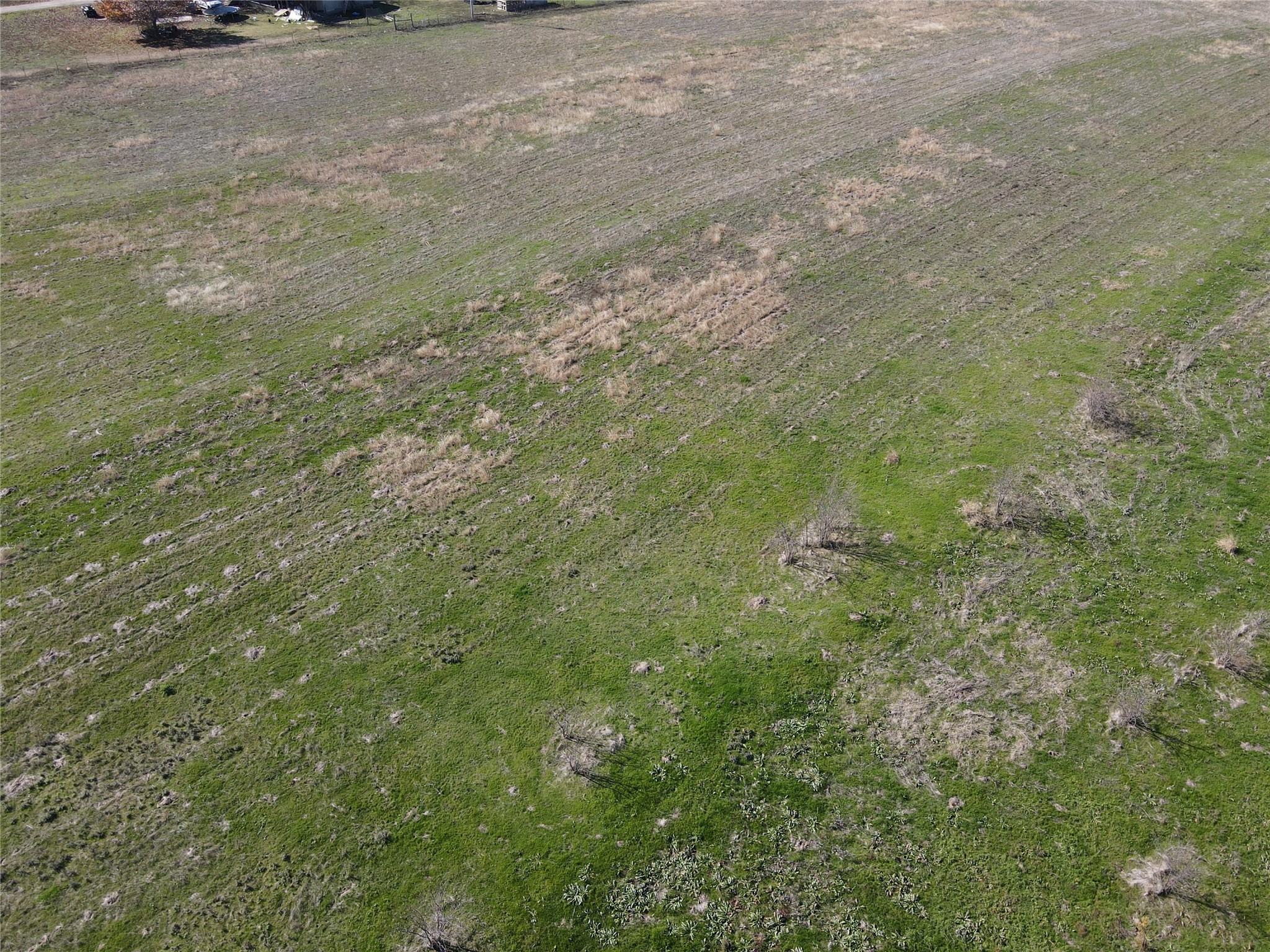4013 Rolling Lane Greenville TX 75401