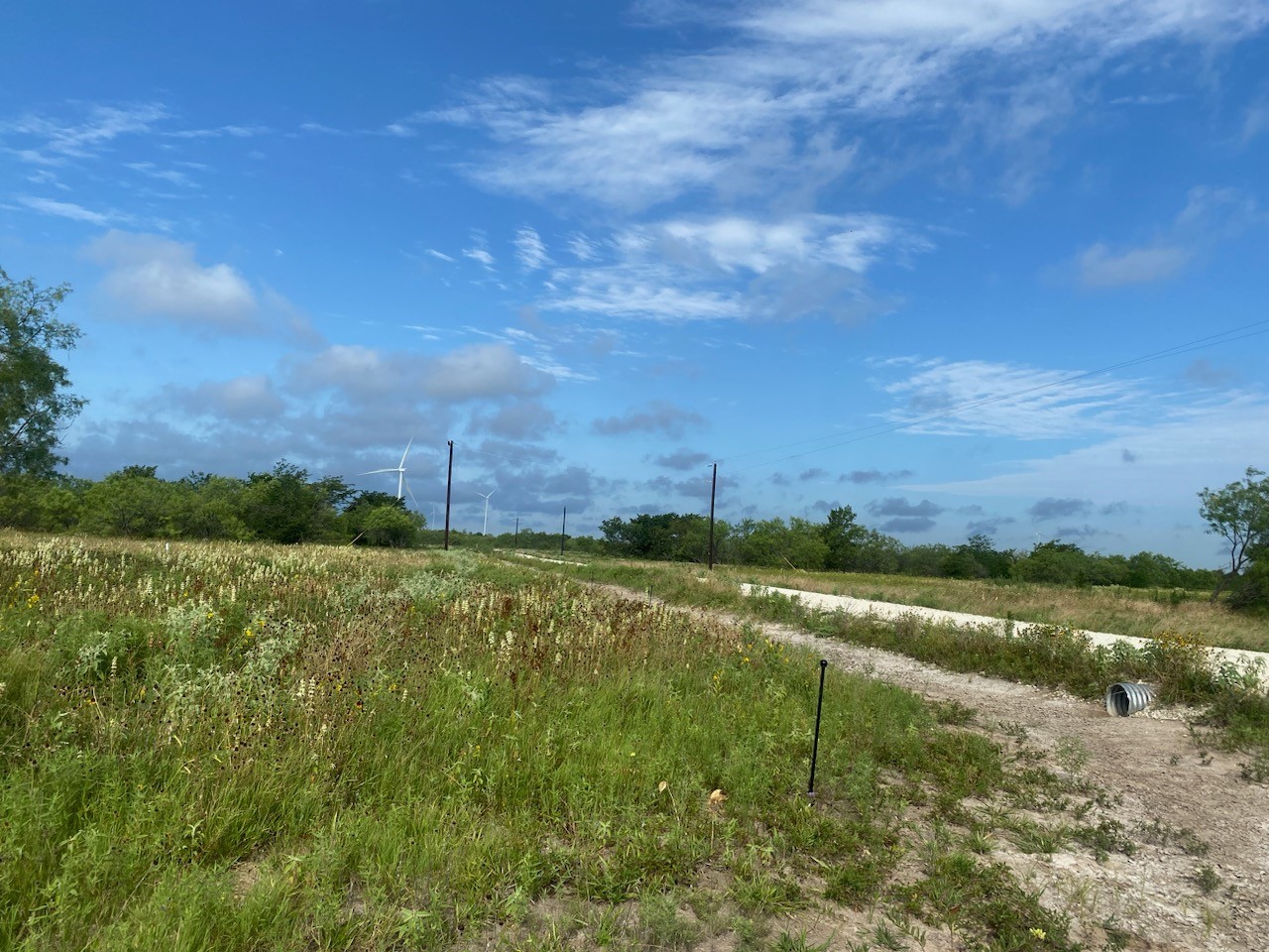 Off Country Road 3368 Hubbard TX 76648