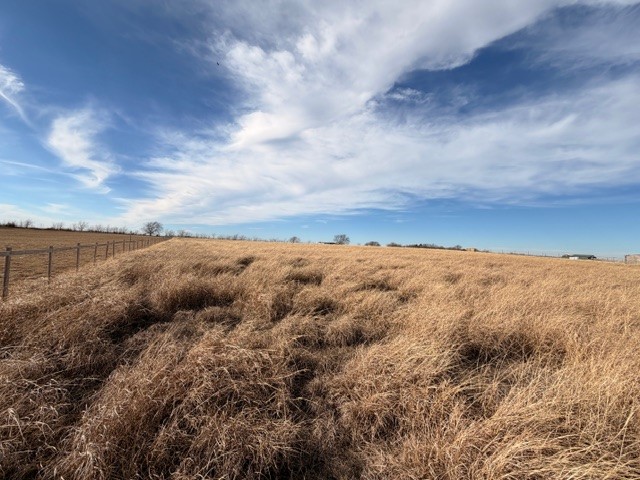 26 Old Sandborn Ranch Road Whitesboro TX 76268