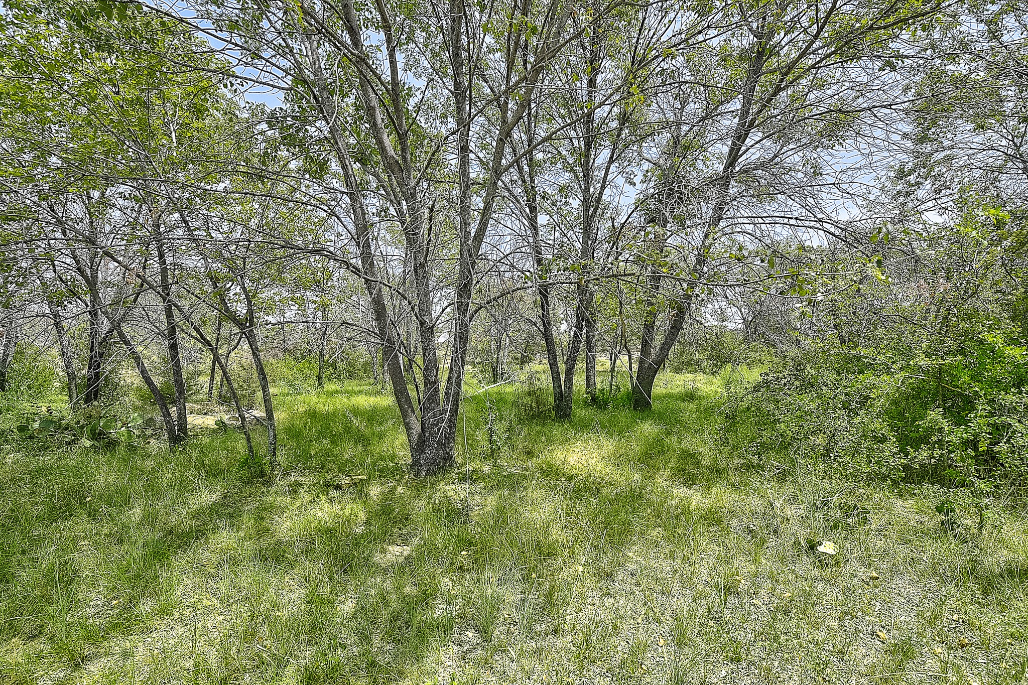 Tbd N Lakewood Circle Lake Bridgeport TX 76426