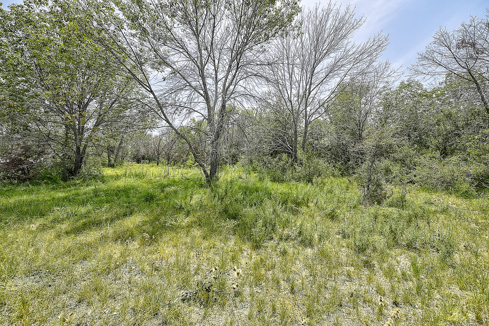 Tbd N Lakewood Circle Lake Bridgeport TX 76426