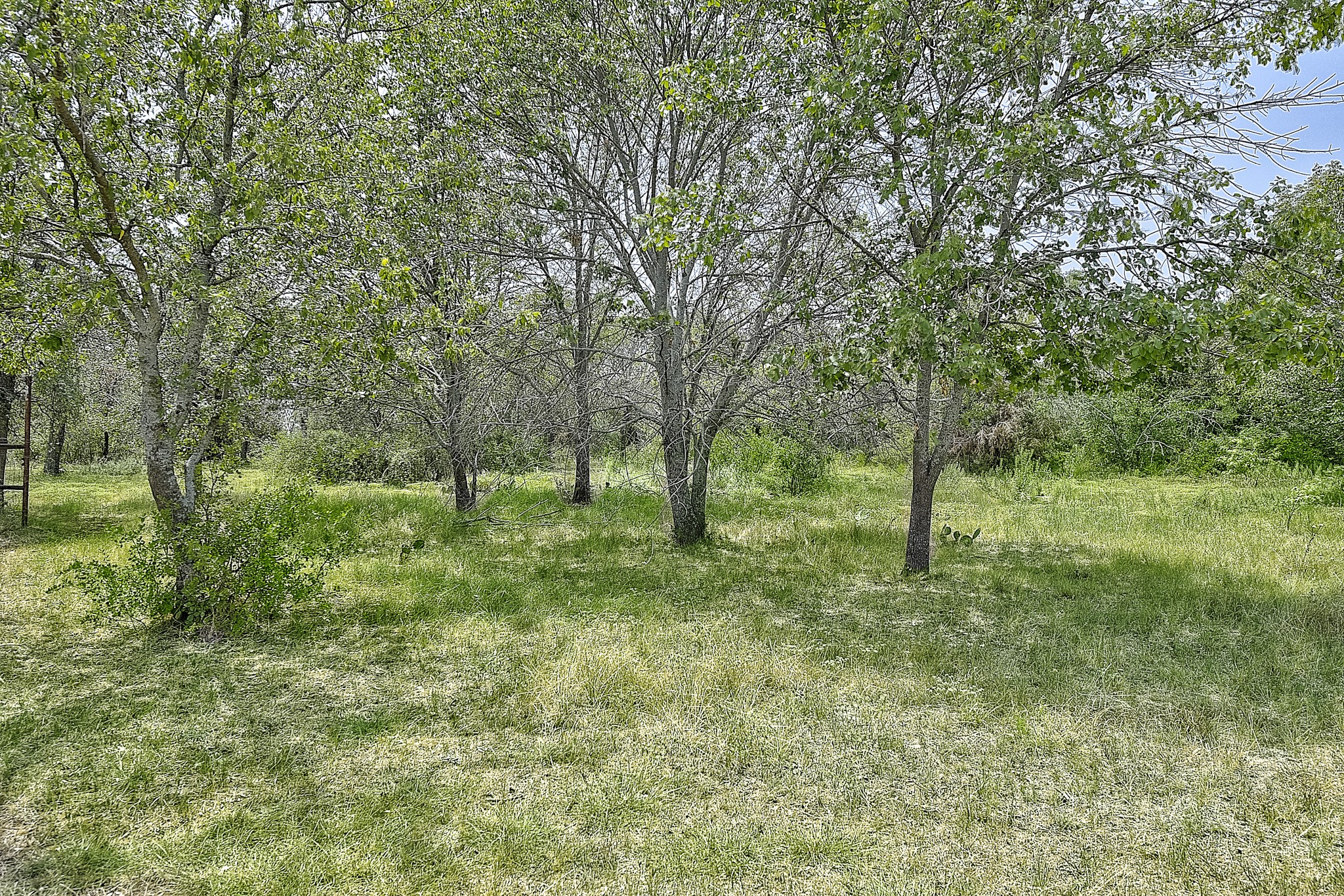 Tbd N Lakewood Circle Lake Bridgeport TX 76426