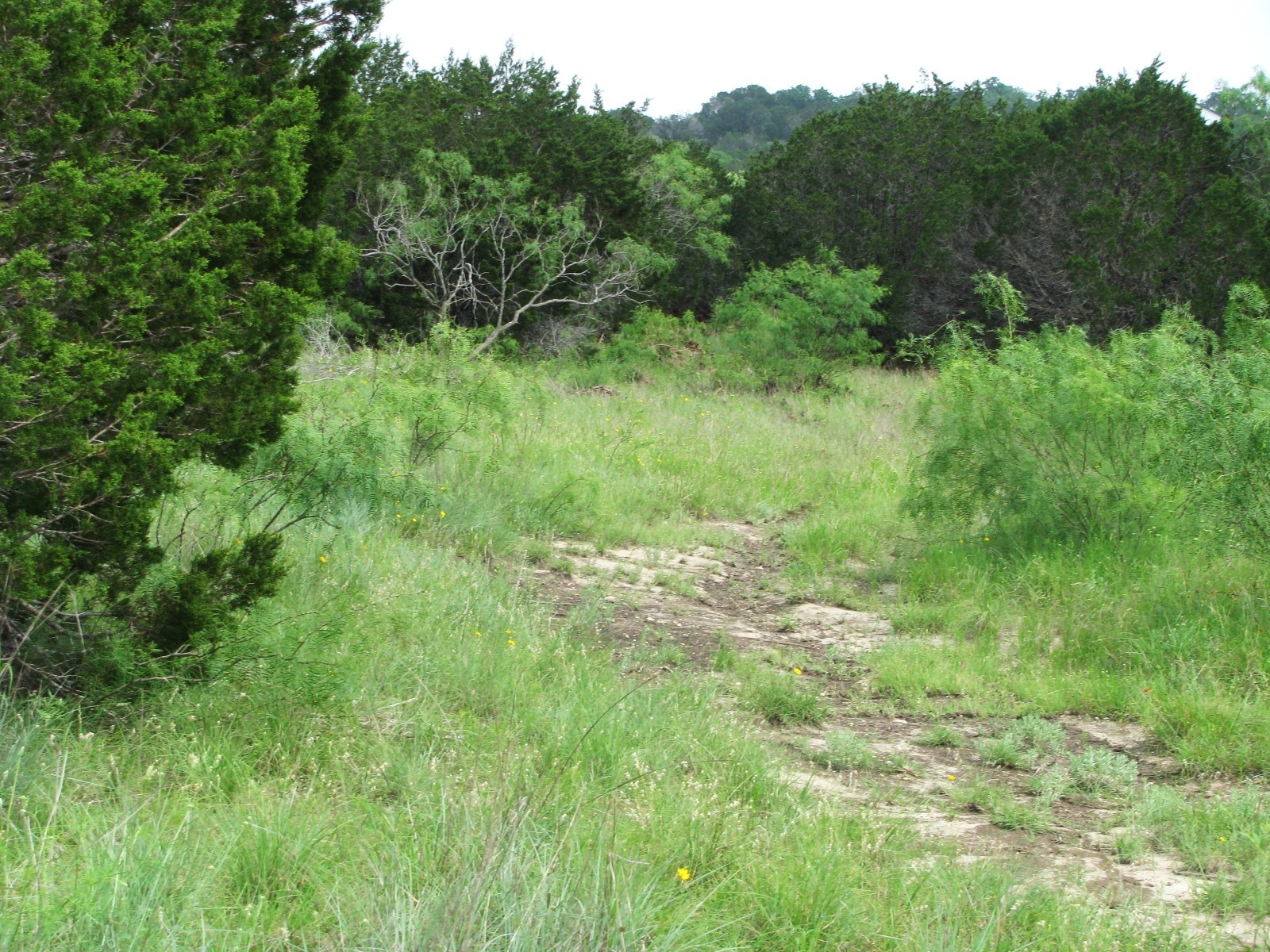 Lot 44 Phase 6 Pr 42107 Evant TX 76525