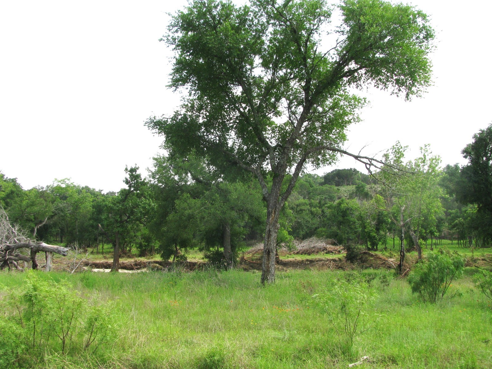 Lot 44 Phase 6 Pr 42107 Evant TX 76525