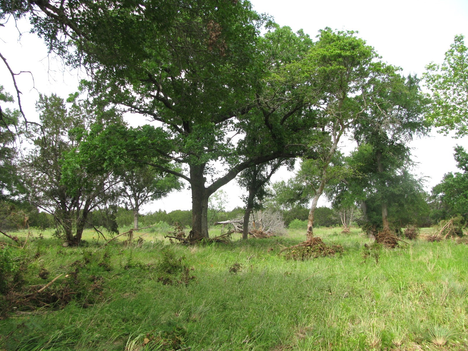 Lot 44 Phase 6 Pr 42107 Evant TX 76525