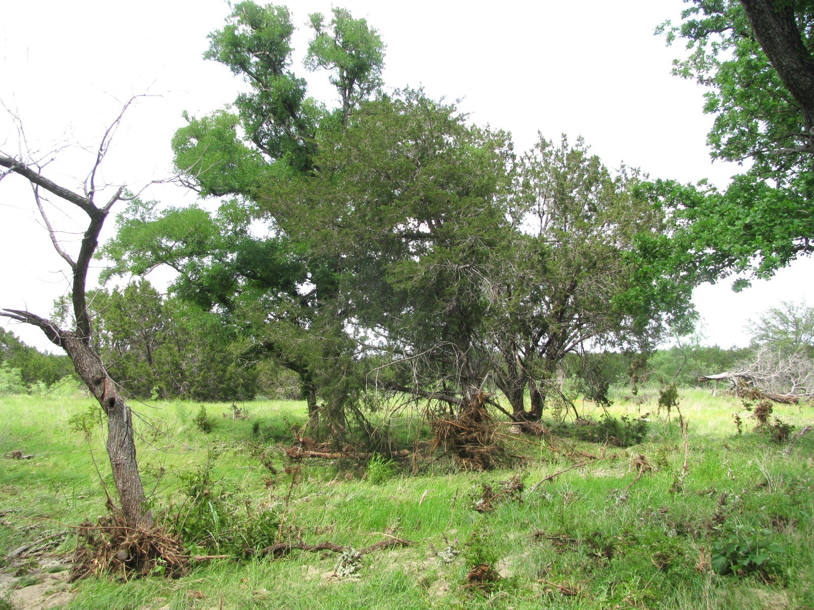 Lot 44 Phase 6 Pr 42107 Evant TX 76525