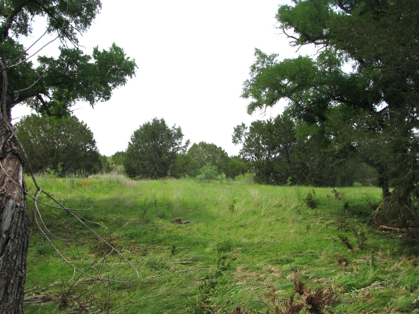 Lot 44 Phase 6 Pr 42107 Evant TX 76525