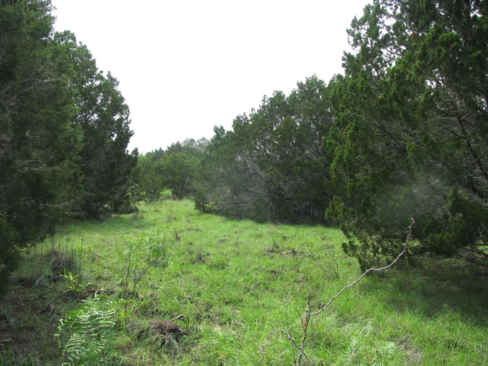 Lot 44 Phase 6 Pr 42107 Evant TX 76525