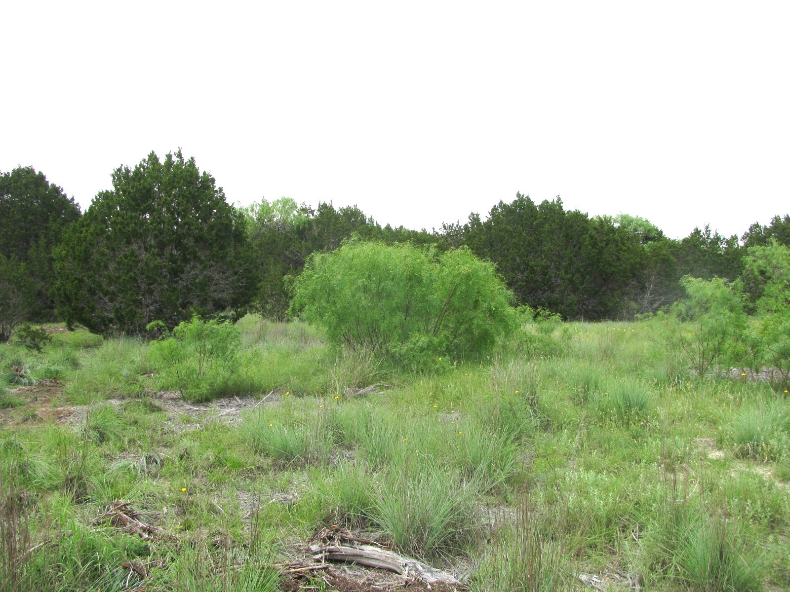 Lot 44 Phase 6 Pr 42107 Evant TX 76525