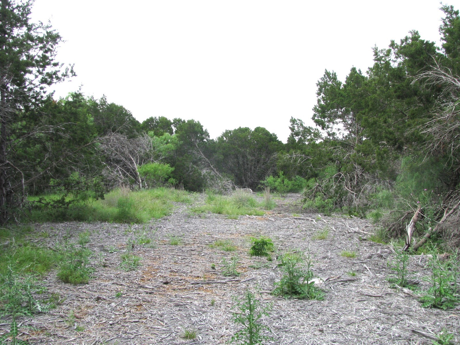 Lot 44 Phase 6 Pr 42107 Evant TX 76525