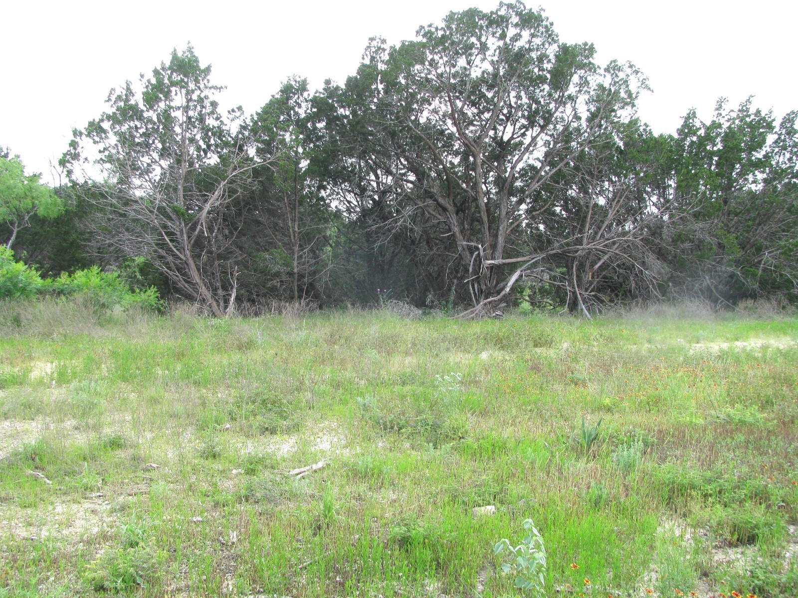 Lot 44 Phase 6 Pr 42107 Evant TX 76525