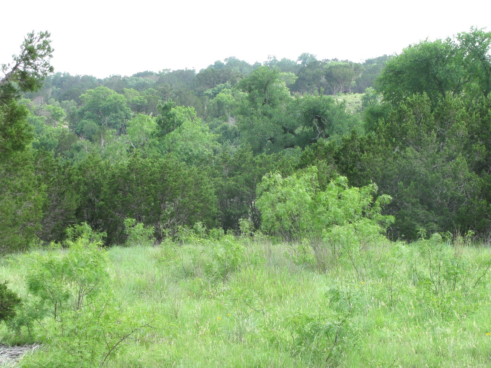 Lot 44 Phase 6 Pr 42107 Evant TX 76525