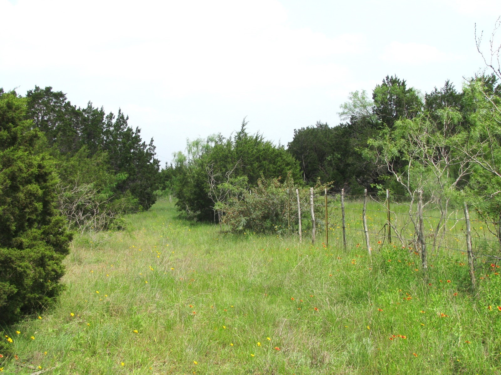 Lot 44 Phase 6 Pr 42107 Evant TX 76525
